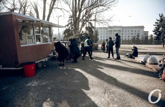 Бездомные на Куликовом поле4