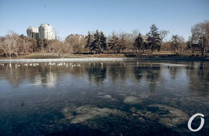 Январь в парке Победы10