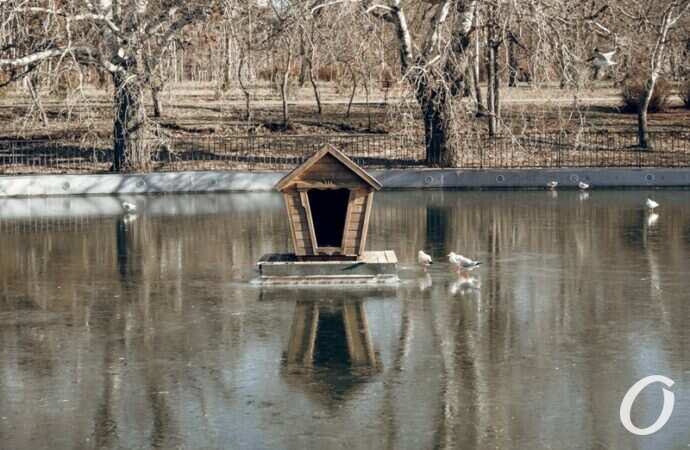 Январь в парке Победы13