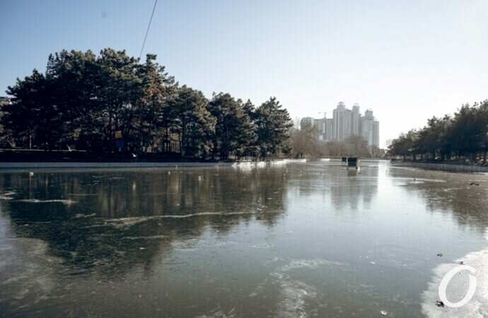 Январь в парке Победы15