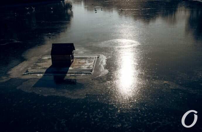 Январь в парке Победы16