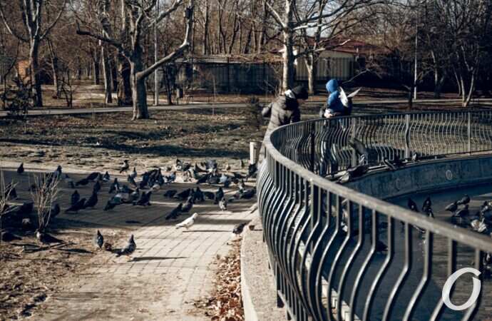 Январь в парке Победы2