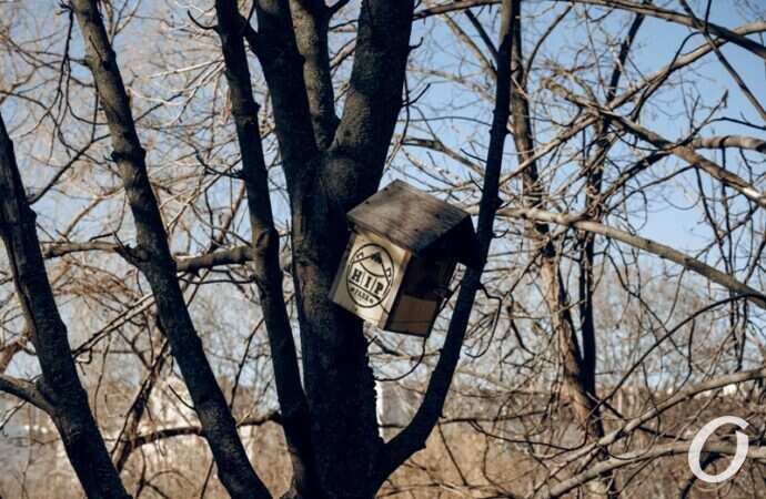 Январь в парке Победы20
