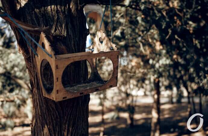 Январь в парке Победы21