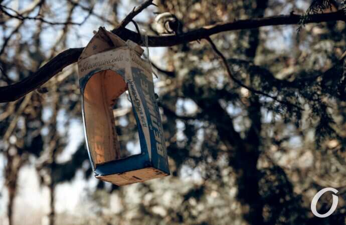 Январь в парке Победы23