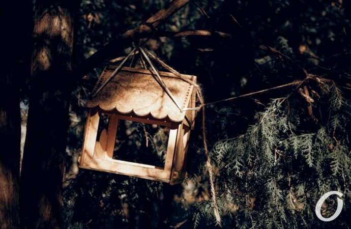 Январь в парке Победы24