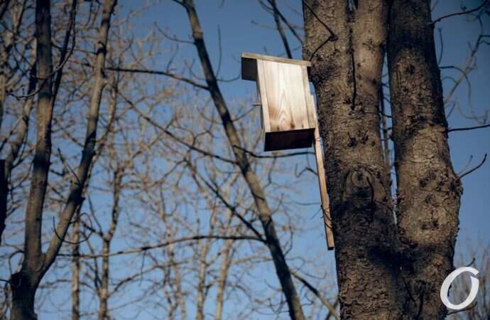 Январь в парке Победы25