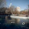 Одесский парк Победы в январе: пруд-каток и «кафе» для пернатых (фоторепортаж)