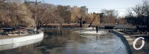 В одесском парке Победы провалилась под лед девушка (фото)