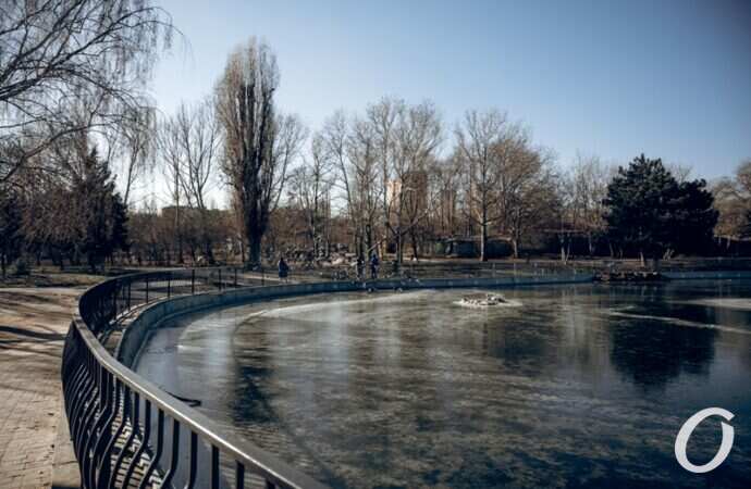 Январь в парке Победы3