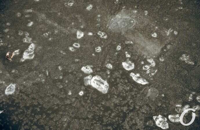 Январь в парке Победы30