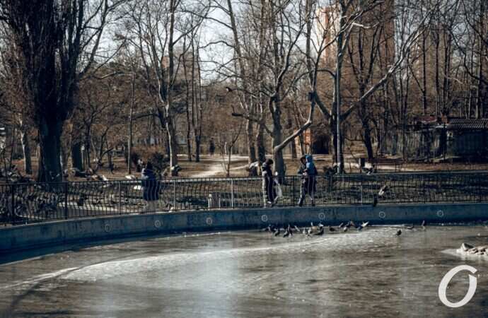 Январь в парке Победы4