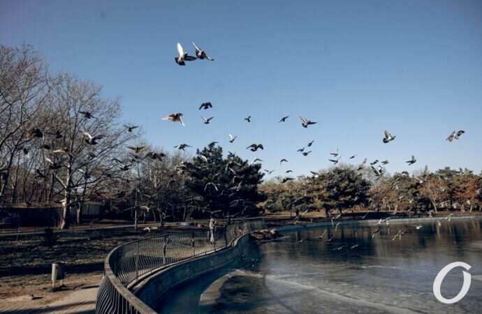 Январь в парке Победы6