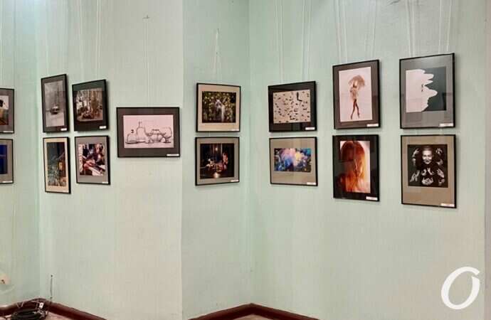 Снимок года, выставка11