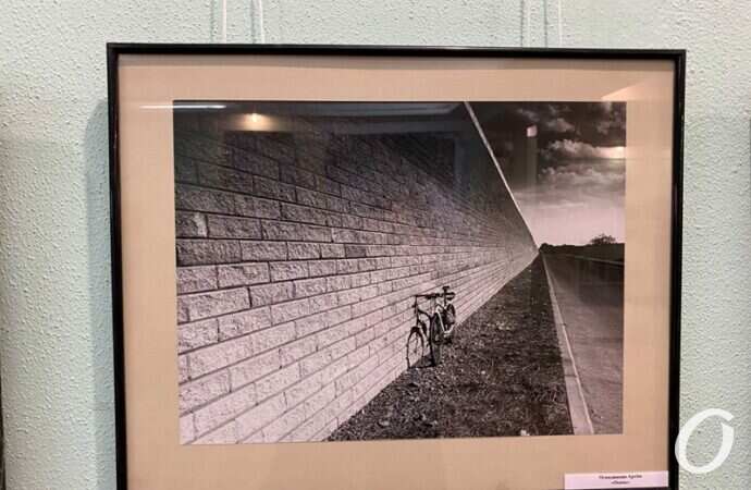 Снимок года, выставка18