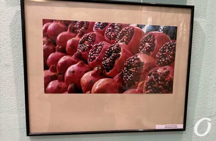 Снимок года, выставка22