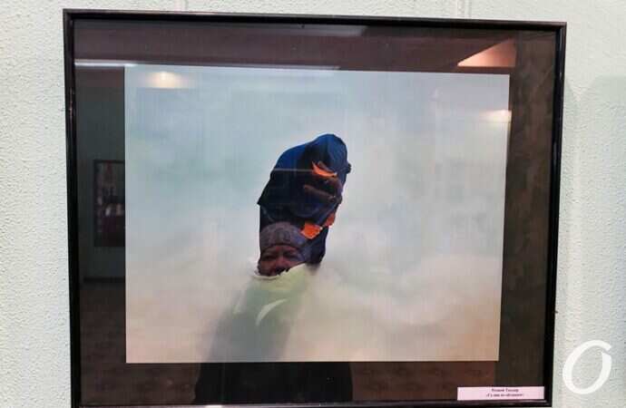 Снимок года, выставка27