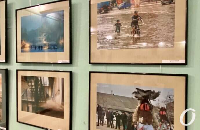 Снимок года, выставка29