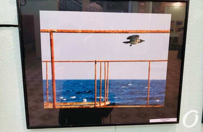 Снимок года, выставка30