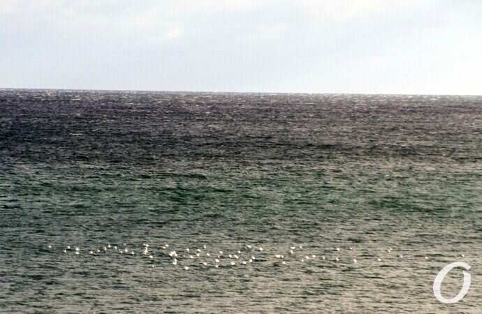 Люстдорф зимой17