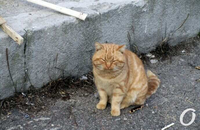 Люстдорф зимой27