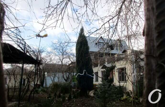 Люстдорф зимой32