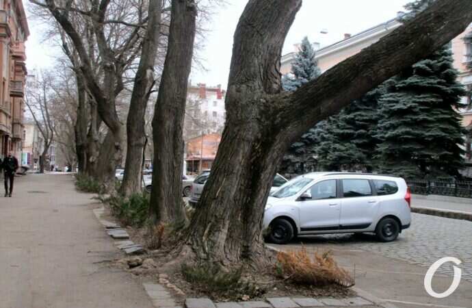 Улица Еврейская14