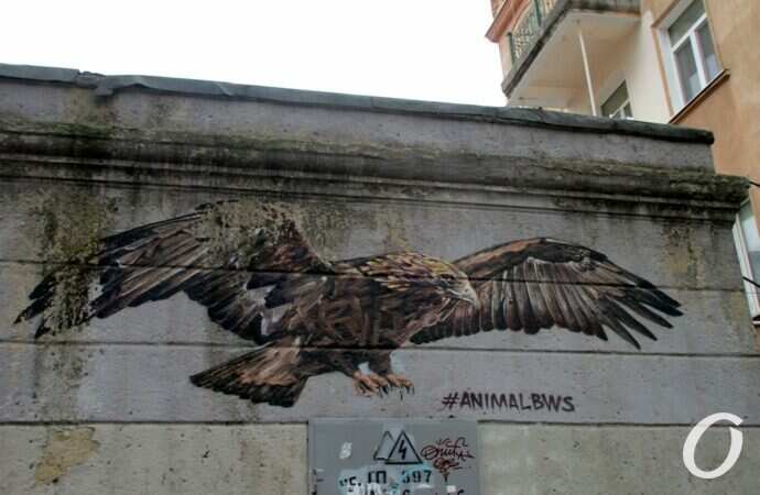 Улица Еврейская17