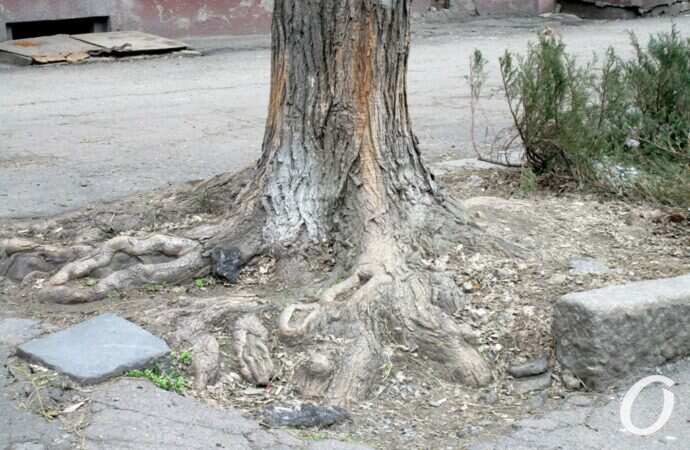 Улица Еврейская19