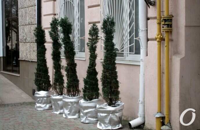 Улица Еврейская24