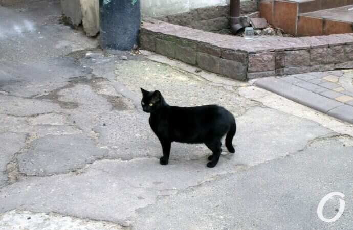 Улица Еврейская45