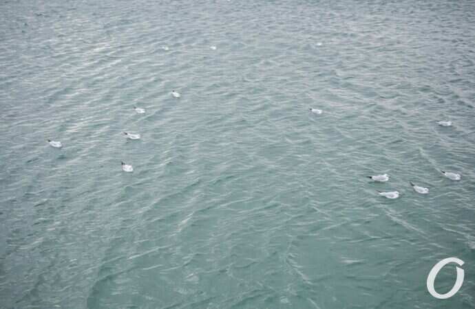 Ланжерон в канун Крещения16