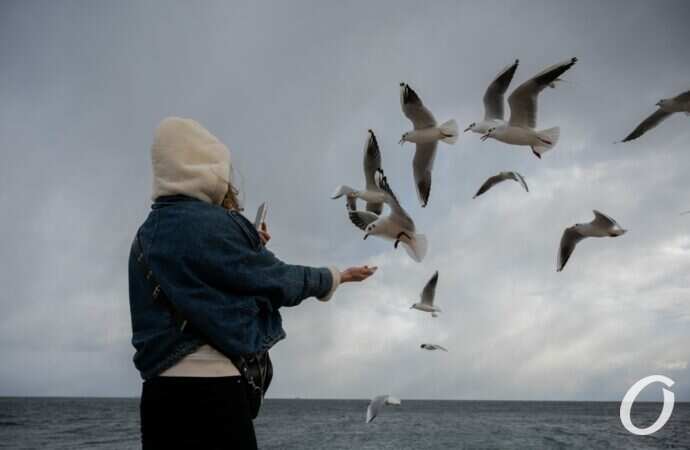 Ланжерон в канун Крещения23