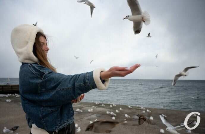 Ланжерон в канун Крещения24