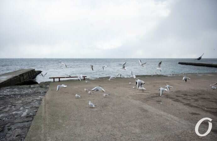 Ланжерон в канун Крещения7