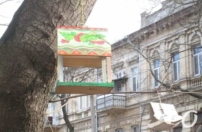 Птичий городок