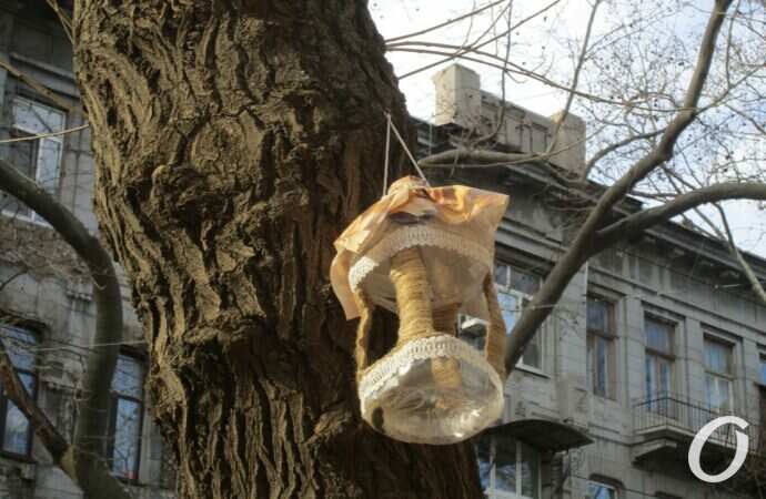 Птичий городок10