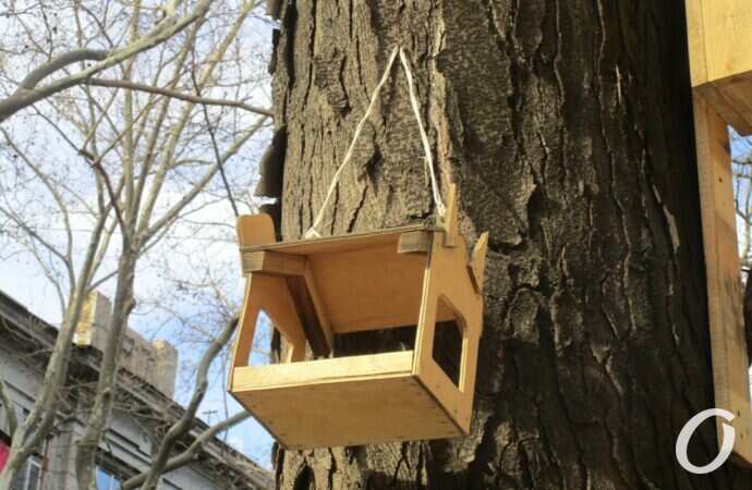 Птичий городок12