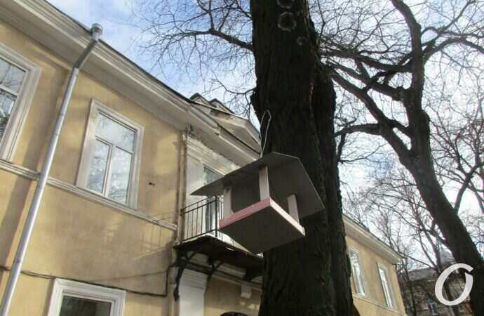 Птичий городок13