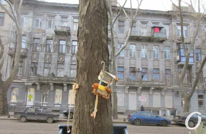 Птичий городок14