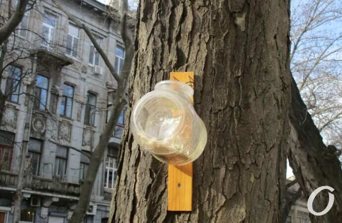 Птичий городок15