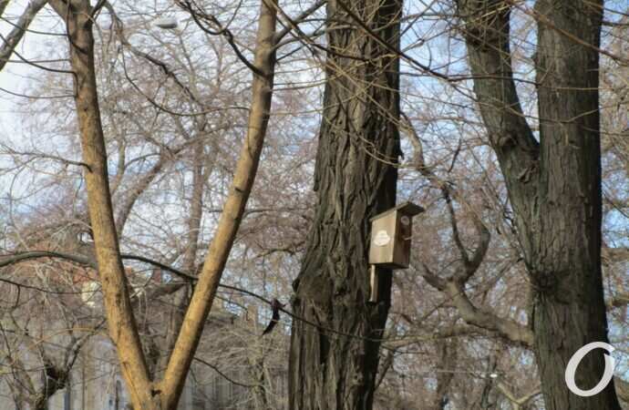 Птичий городок16