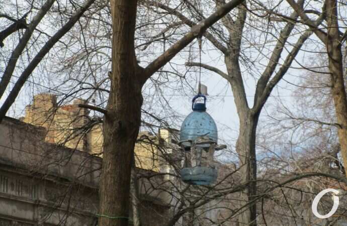 Птичий городок17