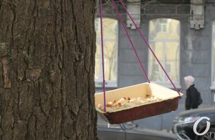 Птичий городок18