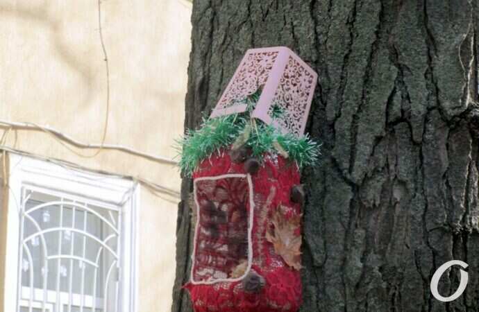 Птичий городок20