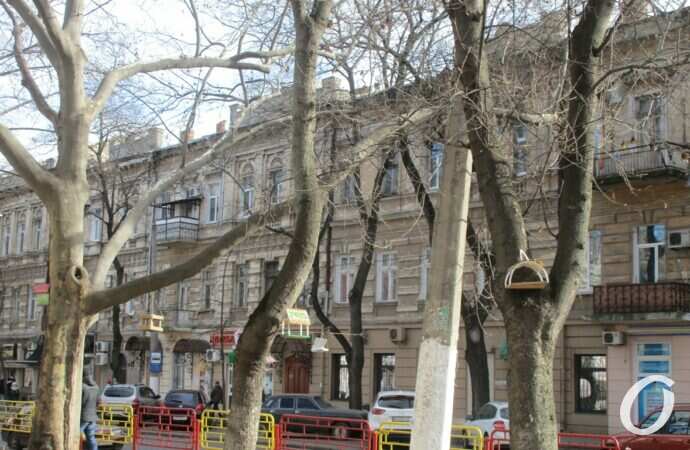 Птичий городок21