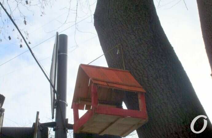 Птичий городок22