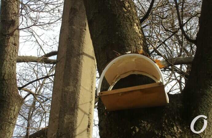 Птичий городок23