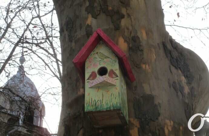 Птичий городок24