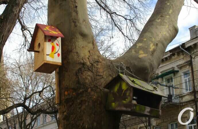 Птичий городок25